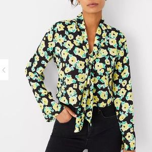 Ann Taylor blouse